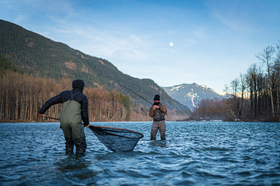Skagit River Fly Fishing - Coho, Steelhead, Bull Trout