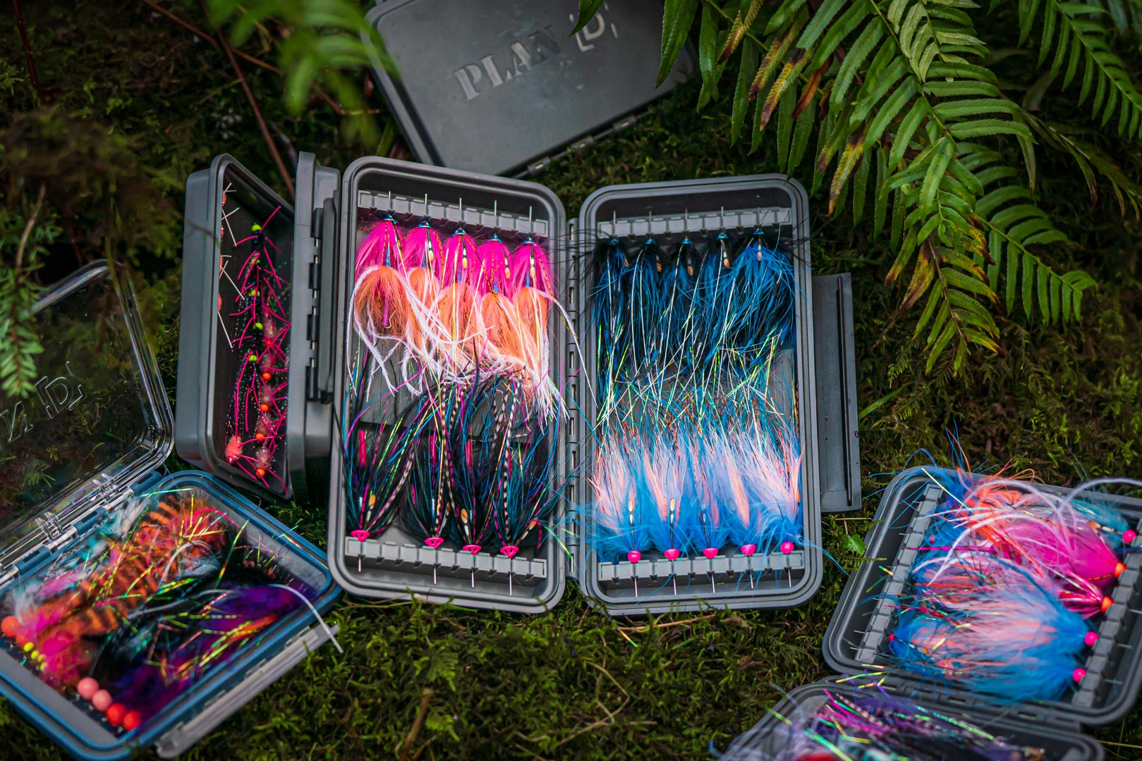 FLY BOXES