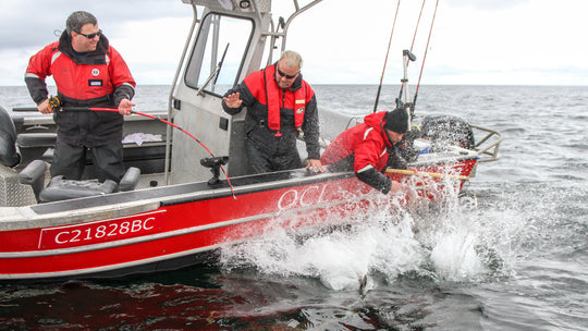 QUEEN CHARLOTTE LODGE in HAIDA GWAII - SALMON, COHO &amp; HALIBUT