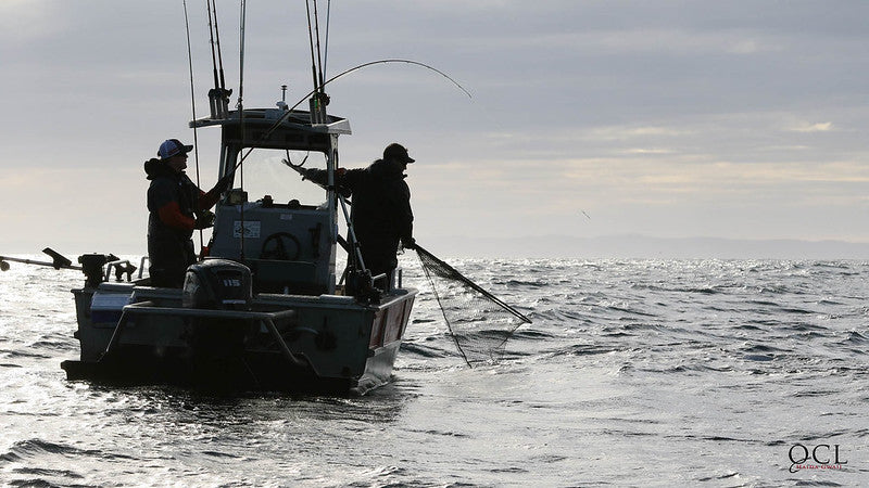 QUEEN CHARLOTTE LODGE in HAIDA GWAII - SALMON, COHO &amp; HALIBUT