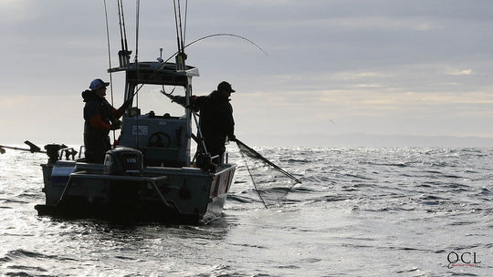QUEEN CHARLOTTE LODGE in HAIDA GWAII - SALMON, COHO &amp; HALIBUT