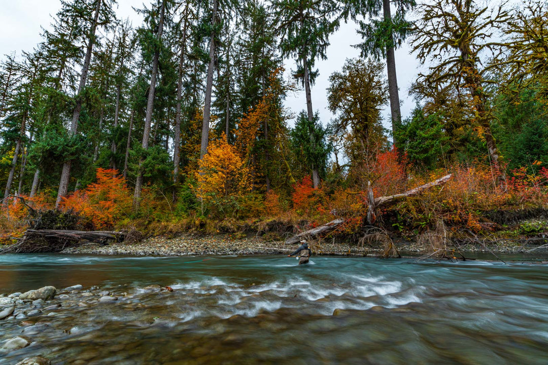 OLYMPIC NATIONAL PARK &amp; RAIN FOREST PHOTOGRAPHY / SIGHTSEEING TOUR