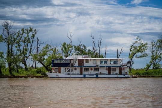 Golden Dorado @ Golden Dorado River Cruiser - COMING SOON
