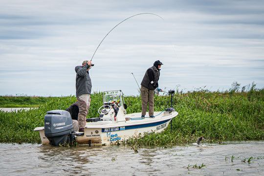 Golden Dorado @ Golden Dorado River Cruiser - COMING SOON