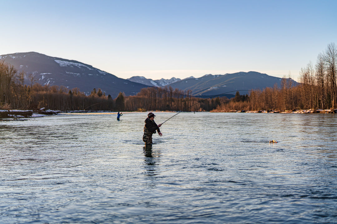 Skagit River Fly Fishing - Coho, Steelhead, Bull Trout
