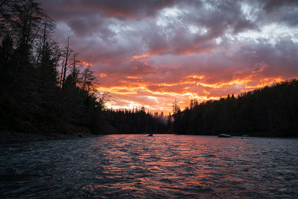 OLYMPIC NATIONAL PARK & RAIN FOREST PHOTOGRAPHY / SIGHTSEEING TOUR