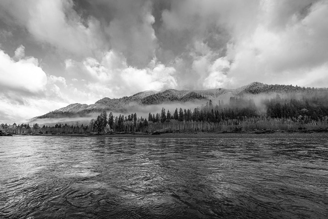 OLYMPIC NATIONAL PARK & RAIN FOREST PHOTOGRAPHY / SIGHTSEEING TOUR - Fly  Gyde