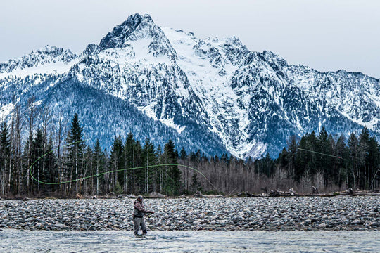 Sauk River Fly Fishing For Salmon, Steelhead