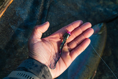Quinault River Fly Fishing Salmon, Steelhead