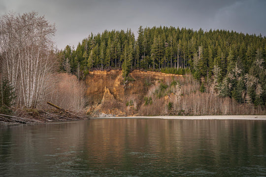 OLYMPIC NATIONAL PARK &amp; RAIN FOREST PHOTOGRAPHY / SIGHTSEEING TOUR