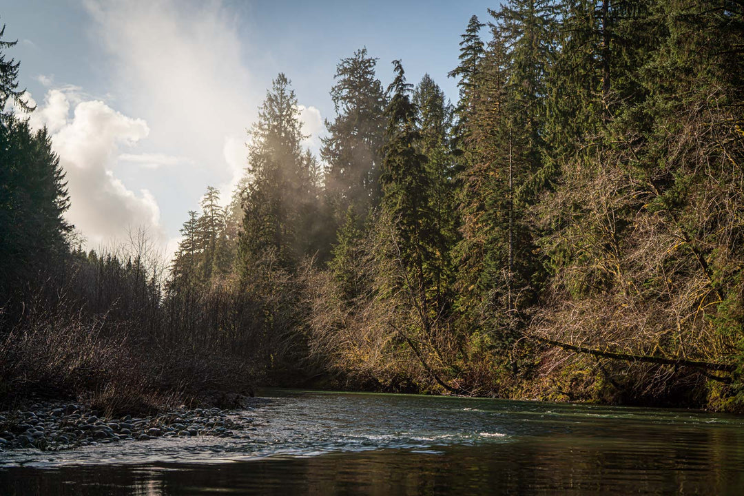 OLYMPIC NATIONAL PARK &amp; RAIN FOREST PHOTOGRAPHY / SIGHTSEEING TOUR