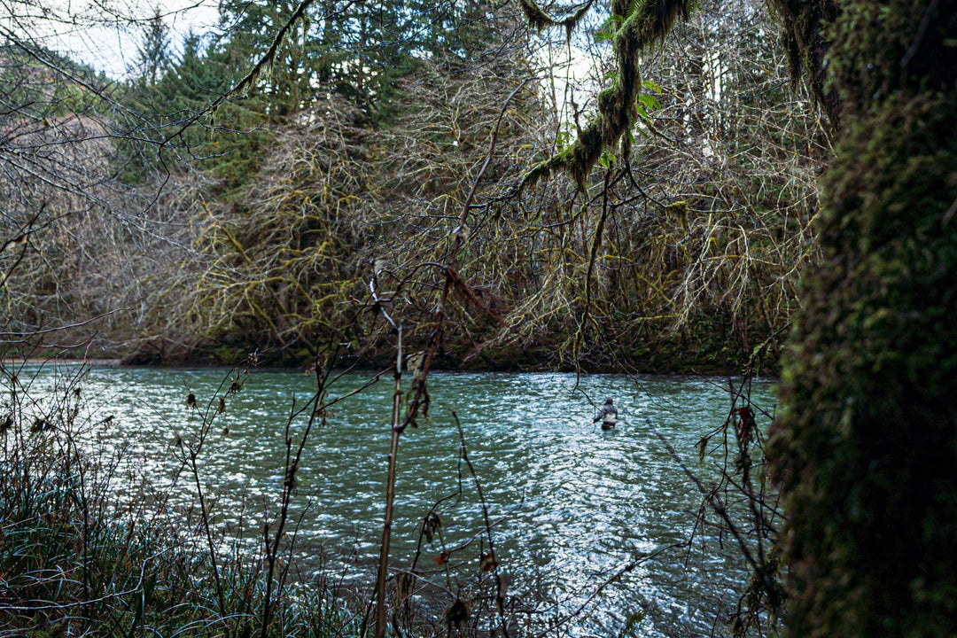 Clearwater River Fly Fishing for Steelhead