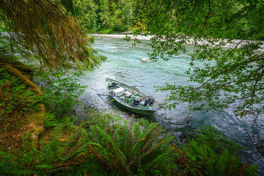 OLYMPIC NATIONAL PARK &amp; RAIN FOREST PHOTOGRAPHY / SIGHTSEEING TOUR