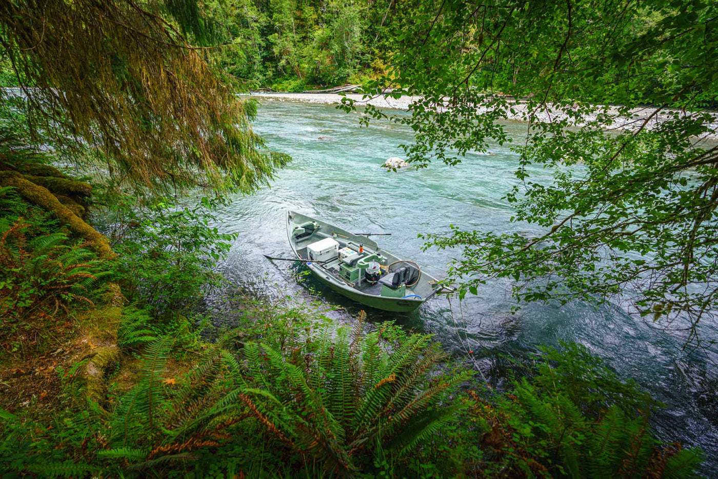 OLYMPIC NATIONAL PARK & RAIN FOREST PHOTOGRAPHY / SIGHTSEEING TOUR