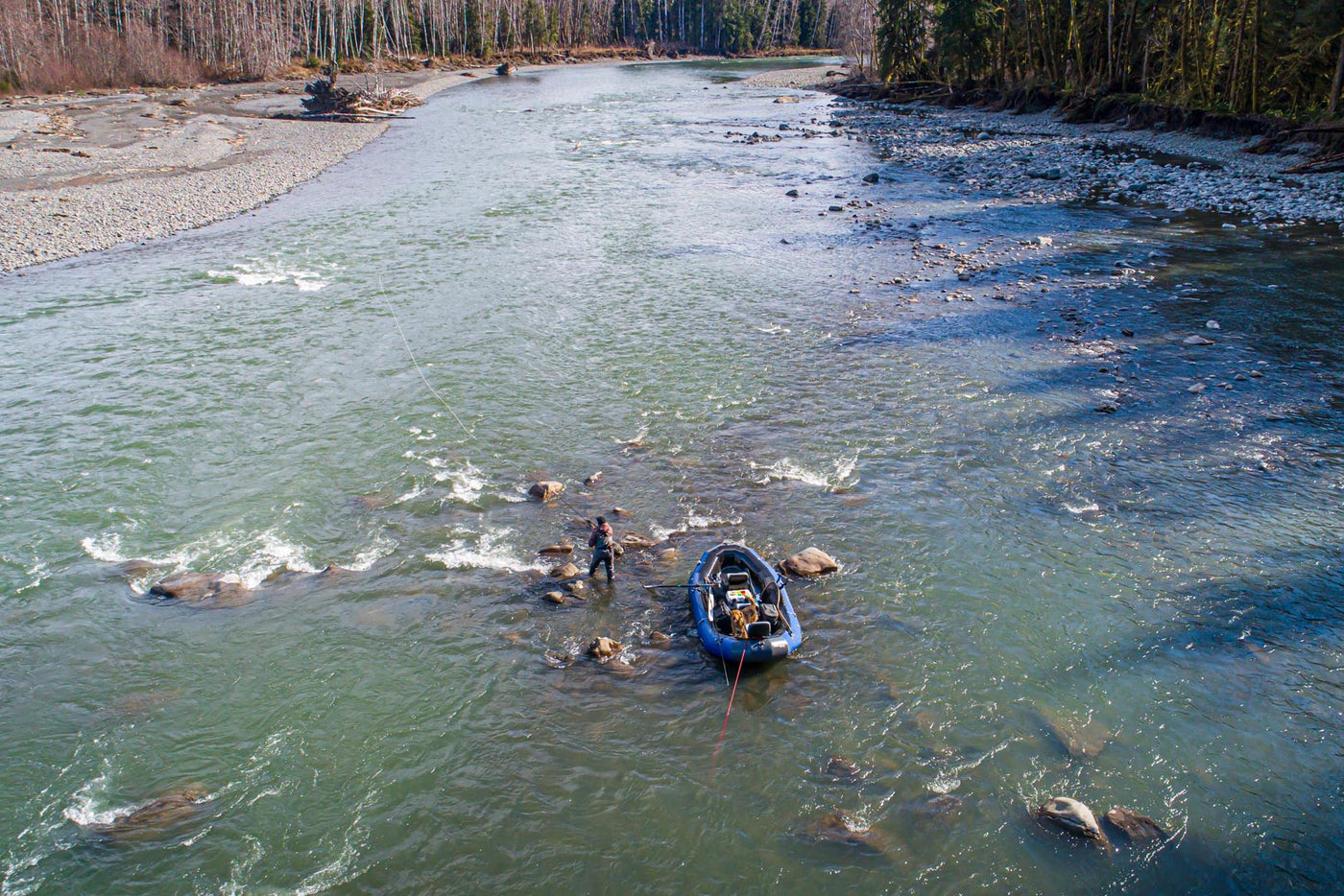 Hoh River Fly Fishing For Salmon, Steelhead