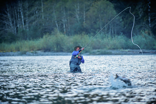 Quinault River Fly Fishing Salmon, Steelhead