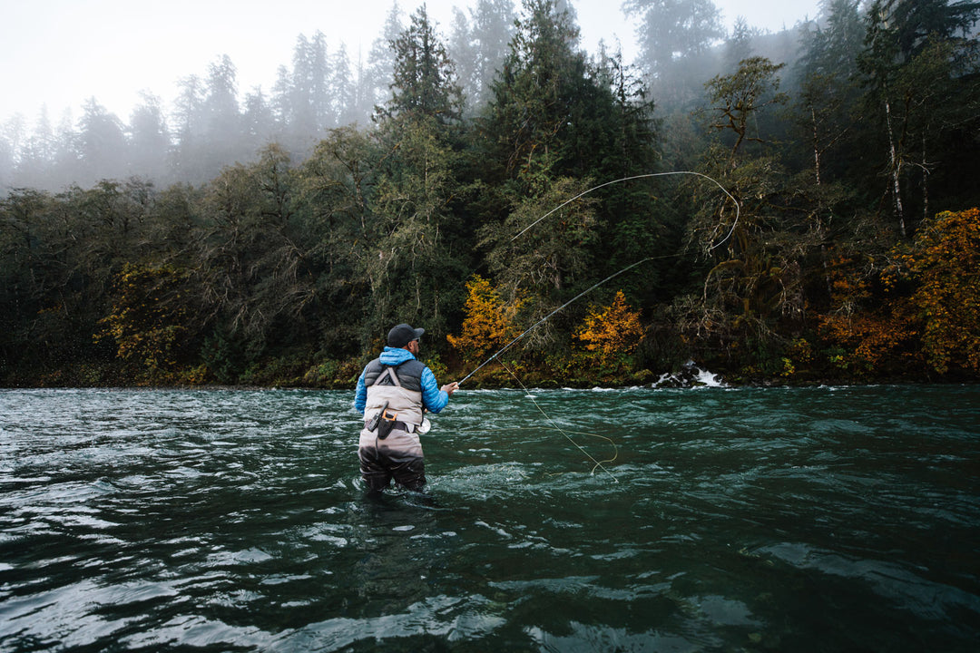 Quinault River Fly Fishing Salmon, Steelhead