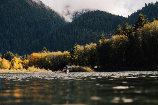 Quinault River Fly Fishing Salmon, Steelhead