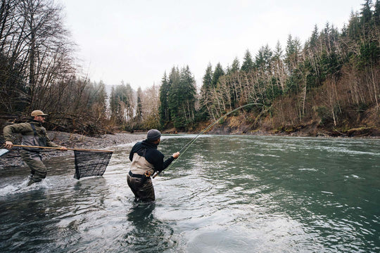Clearwater River Fly Fishing for Steelhead