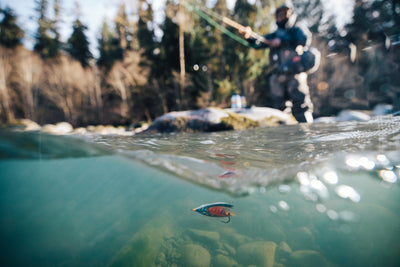 Queets River Fly Fishing - Steelhead & Salmon