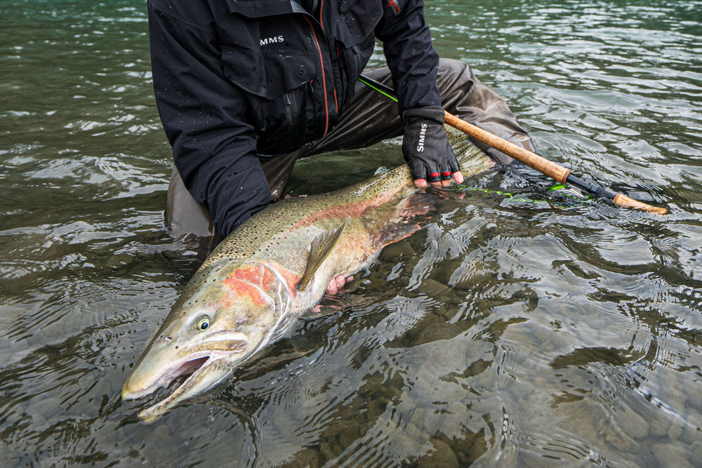 Hoh River Fly Fishing For Salmon, Steelhead