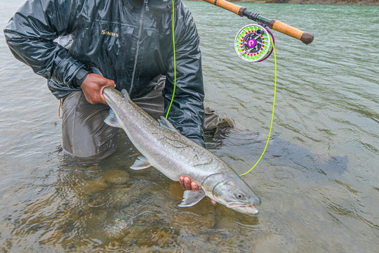 Hoh River Fly Fishing For Salmon, Steelhead