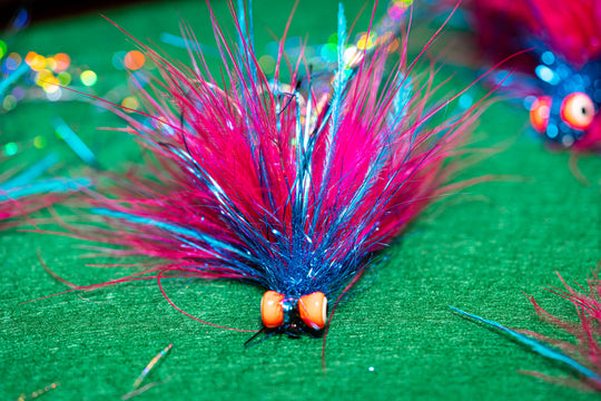 Satsop River Fly Fishing For Salmon, Steelhead