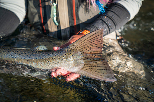 Wynoochee River Fly Fishing For Salmon, Steelhead
