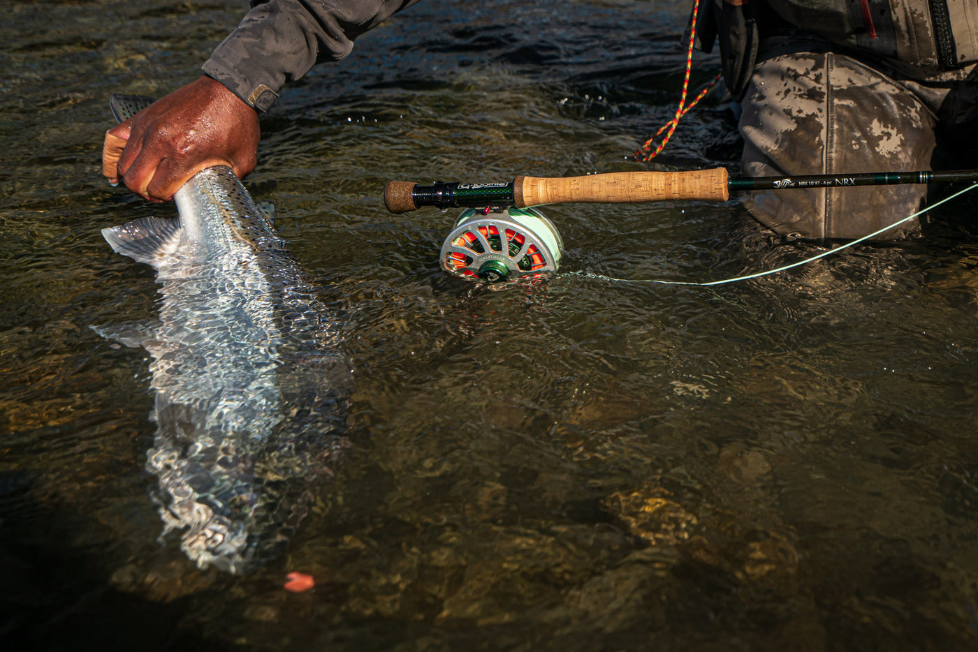 Wynoochee River Fly Fishing For Salmon, Steelhead