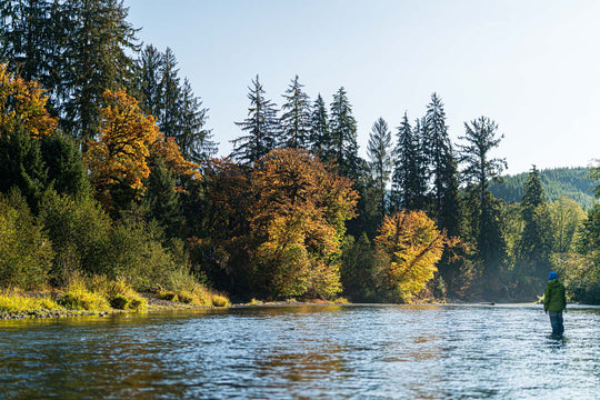 Humptulips River Fly Fishing Salmon, Steelhead