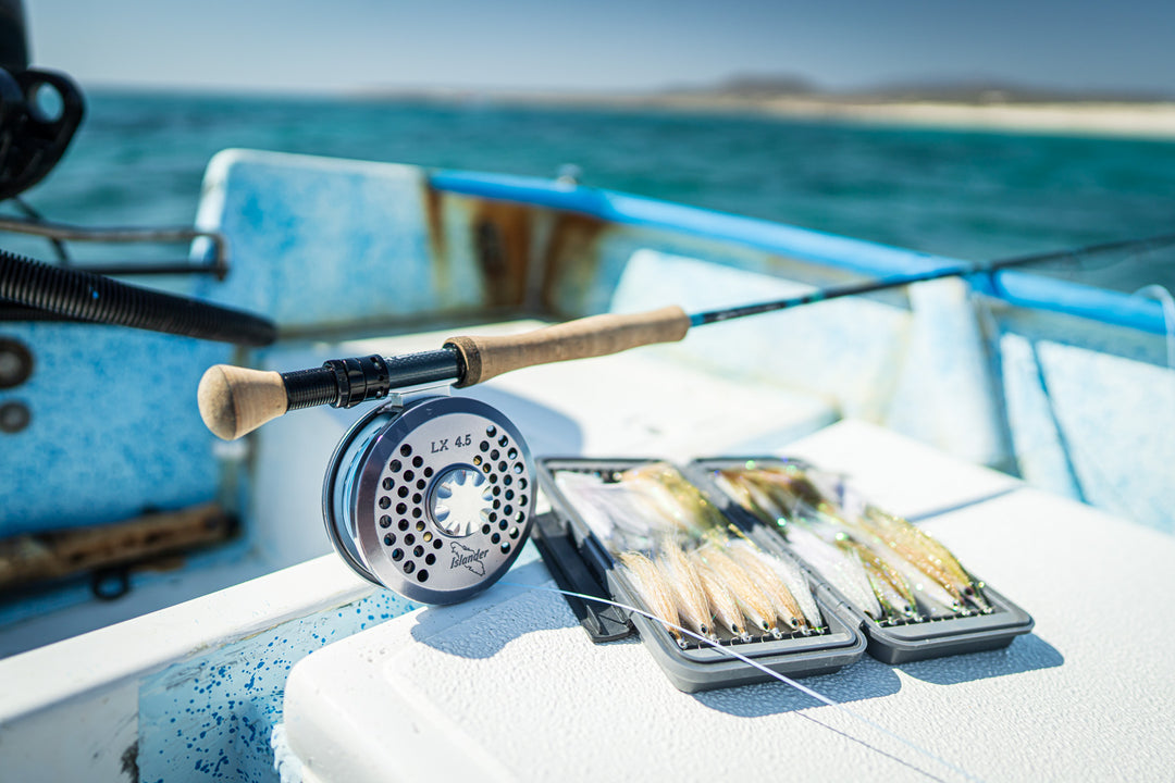 Baja Mexico with Fly Fish Mex