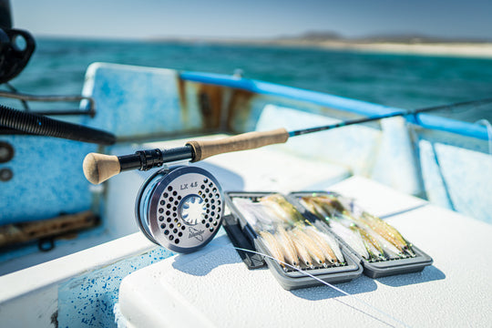 Baja Mexico with Fly Fish Mex