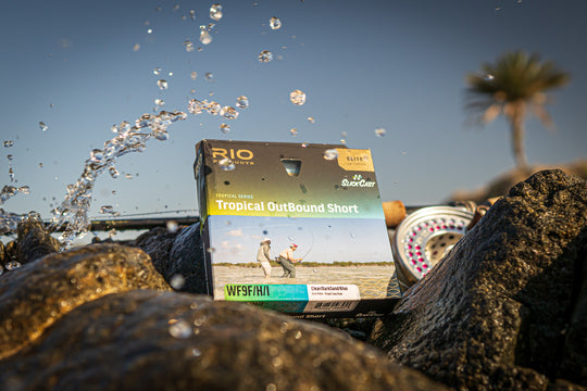 Baja Mexico with Fly Fish Mex
