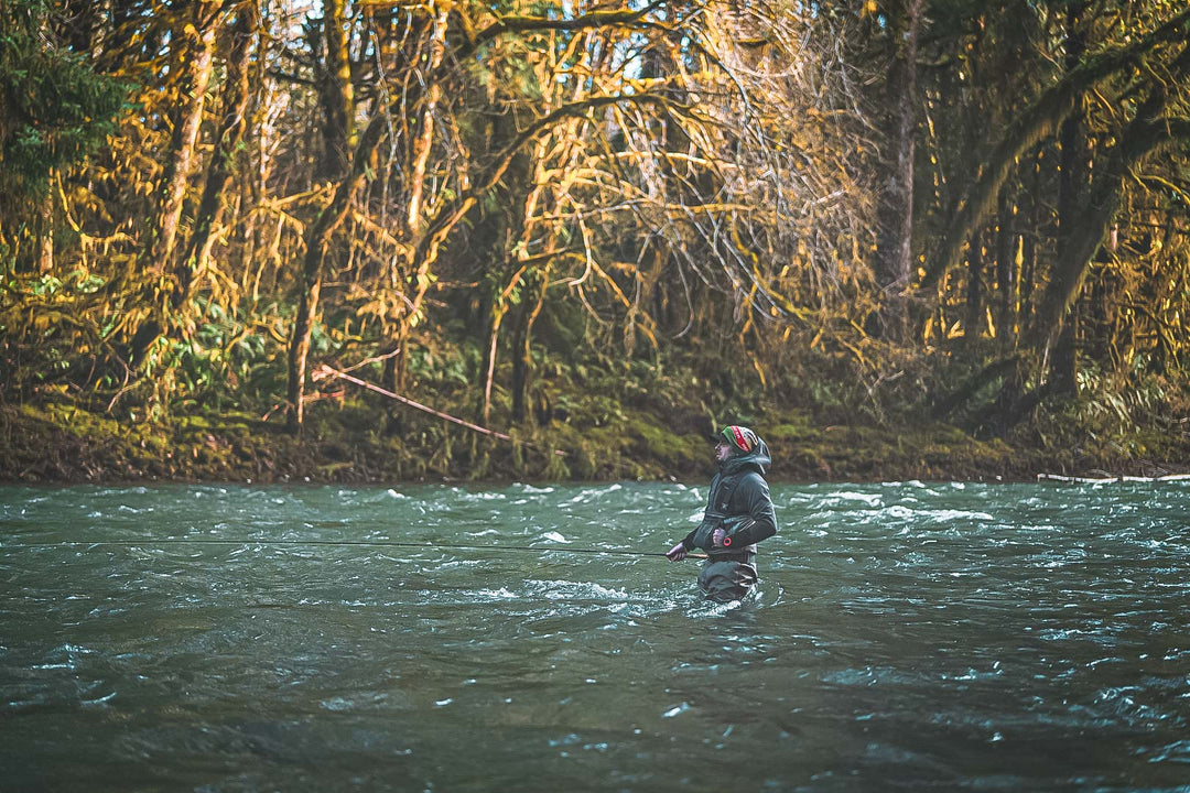 Clearwater River Fly Fishing for Steelhead