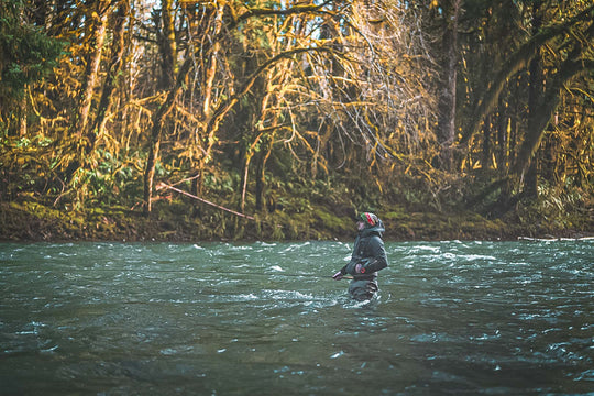 Clearwater River Fly Fishing for Steelhead