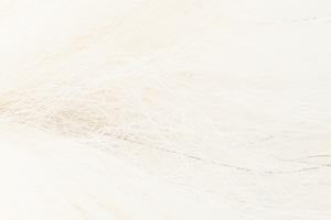 PRO SPORTFISHER MARBLE FOX